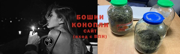 стаф Пересвет
