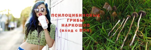 a pvp Абдулино